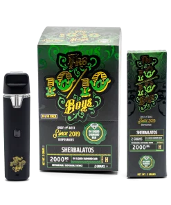 10/10 premium thc disposable
