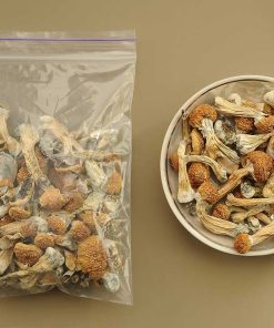 Liberty Cap Mushrooms